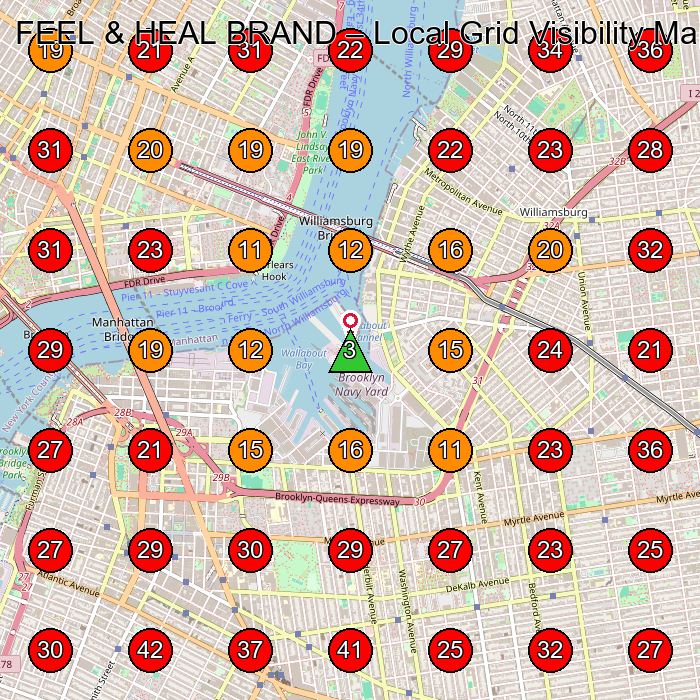 FEEL & HEAL BRAND GeoGrid visibility map for Clothing Store in None